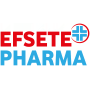 Logo EFSETE s.r.o.